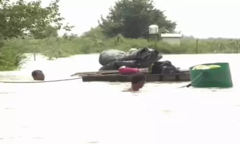 बारिश, बाढ़, तबाही, मौसम, दिल्ली, पंजाब, उत्तर प्रदेश, अलर्ट, rain, flood, devastation, weather, Delhi, Punjab, Uttar Pradesh, alert,