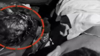 image 2025 09 04T081326.016