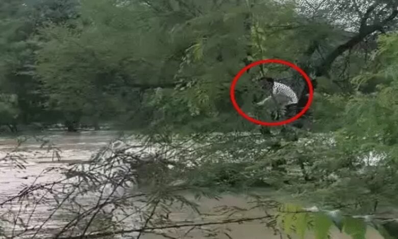 हरिद्वार-ऋषिकेश रेल रूट पर लैंडस्लाइड, पंजाब-हिमाचल-यूपी में बाढ़ का संकट 1 image 2025 09 08T094047.047