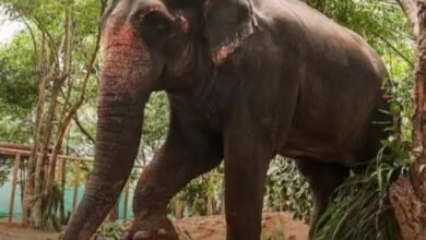 image 2025 09 14T102146.597 1