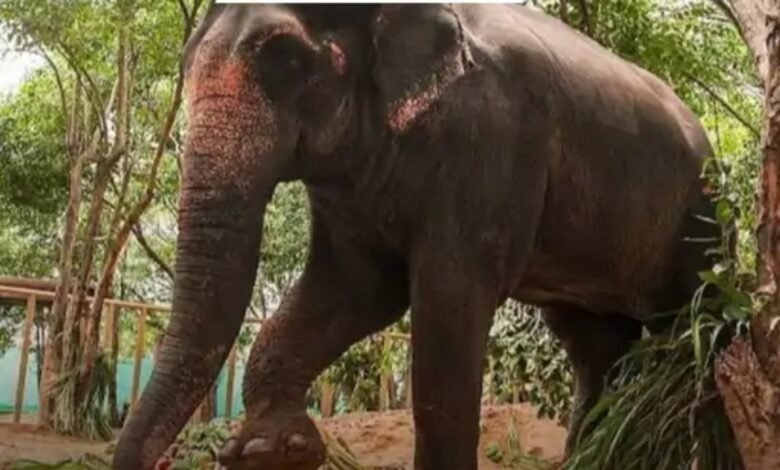 image 2025 09 14T102146.597 1