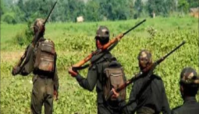 बिलासपुर नक्सली एनकाउंटर पर हाईकोर्ट का बड़ा फैसला, शासन को मिली बड़ी राहत 1 befunky 2025 9 4 18 32 5