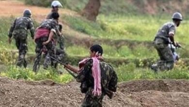 befunky 2025 9 6 13 1 12