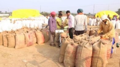 छत्तीसगढ़ सरकार 15 नवंबर से ₹3100 प्रति क्विंटल की दर से धान खरीदेगी 9 befunky 2025 9 6 9 50 33