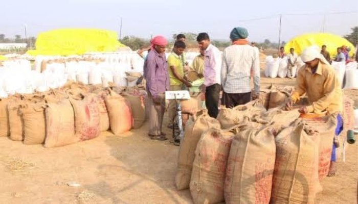 छत्तीसगढ़ सरकार 15 नवंबर से ₹3100 प्रति क्विंटल की दर से धान खरीदेगी 1 befunky 2025 9 6 9 50 33