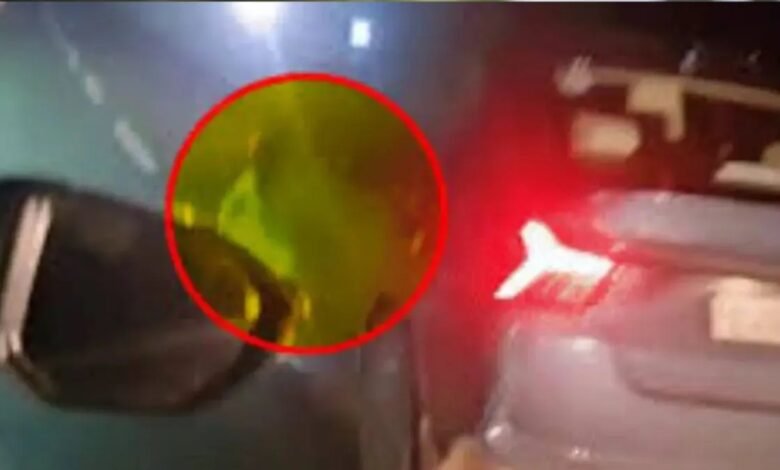 Gujarat Hit and Run, Halol-Shamlaji Highway, Drunk Teacher, Mahisagar Accident, Viral Video, Bike Accident, Dineshbhai Sarel, Sunil Machhar, Bakor Police, Vadodara Teacher, Road Accident,