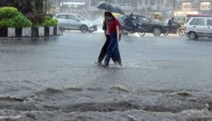 मध्य प्रदेश के 37 जिलों में बारिश की संभावना, इंदौर में भारी वर्षा 1 image 3 12