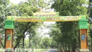 अचानकमार
