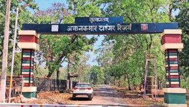 अचानकमार टाइगर रिजर्व