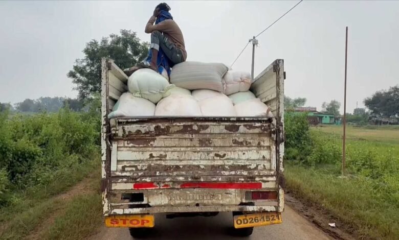 Paddy procurement, middlemen, Odisha, border districts, illegal storage, Gariaband, Devbhog Tehsildar, support price, profiteering, agricultural area, truck seized,