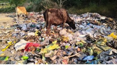 A Pile Of Garbage