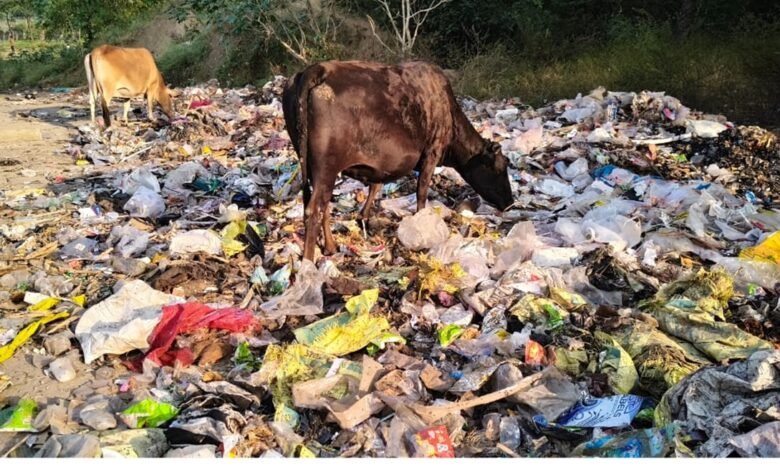 A Pile Of Garbage: जूना बिलासपुर नदी तट पर गंदगी का विस्फोट,निगम के दावों की पोल खुली.... 1 A Pile Of Garbage