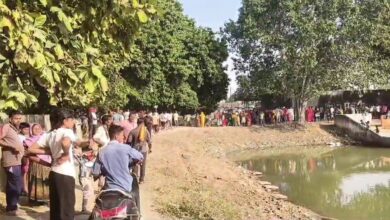 Accident In The Pond