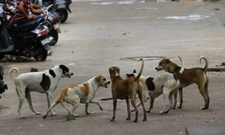 Education Department Order