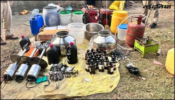 befunky 2025 10 5 21 7 8