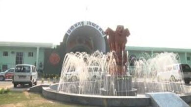 विधानसभा