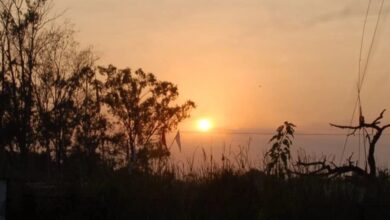 Chhattisgarh weather, Raipur temperature, Cold wave, Winter forecast, Ambikapur coldest, IMD Raipur, Temperature drop, Dry weather, North winds,