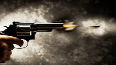 Surat woman forest officer murder, husband arrested, Sonal Solanki case, Nikunj Solanki inspector, GPS tracking complaint, South Gujarat crime, gunshot injury, CCTV footage evidence, police investigation Gujarat,