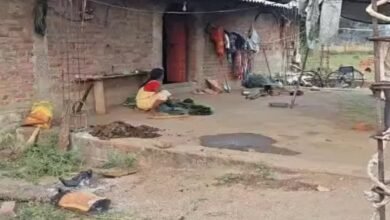 Gariaband Incident, Child Deaths, Superstition, Fake Treatment, Quack Doctor, Fever Case, Health Negligence, Dhanora Village, Chhattisgarh Health System, CMHO Investigation,