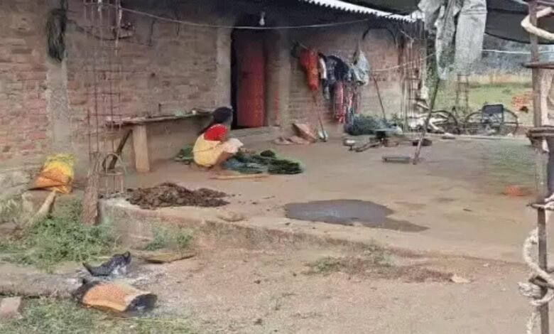 Gariaband Incident, Child Deaths, Superstition, Fake Treatment, Quack Doctor, Fever Case, Health Negligence, Dhanora Village, Chhattisgarh Health System, CMHO Investigation,