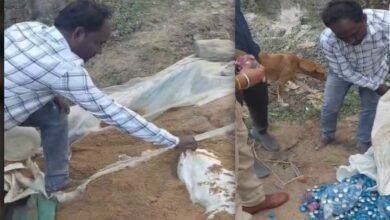 fake liquor, jaggery factory, Kavardha, illegal alcohol production, police raid, Nandkumar Kurre, former sarpanch, arrested, liquor making materials, bottles, caps, labels, jerricans, cans, chemicals, packing machine, supply network, inter-state connections, mastermind,