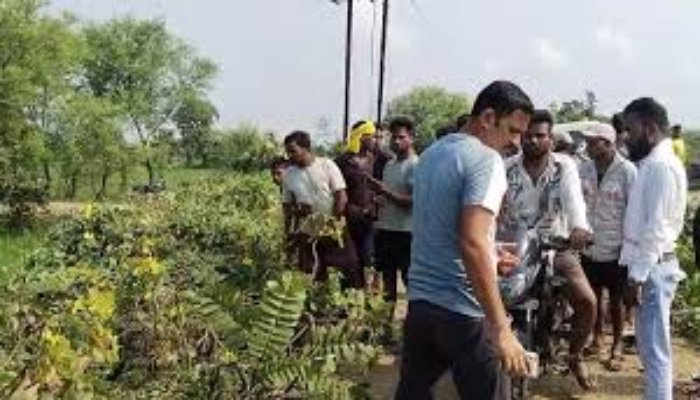 बिलासपुर