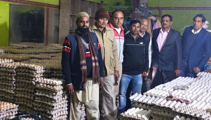 नकली देसी अंडों का रैकेट बेनकाब, 80 हजार से अधिक अंडे जब्त, गोदाम सील 1 अंडों