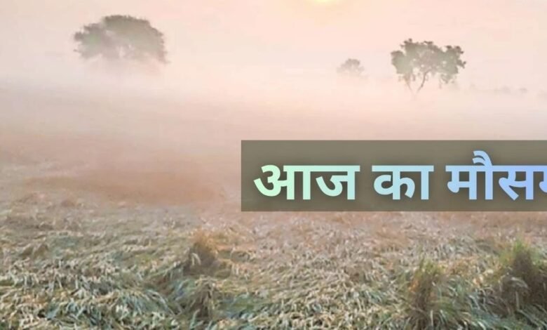 IMD warning, cold wave, Chhattisgarh weather, minimum temperature drop, Ambikapur coldest, Raipur temperature, North Chhattisgarh frost, dry weather forecast, Sarguja frost alert, exam guideline change, Vyapam instructions, no-pocket sweater allowed,