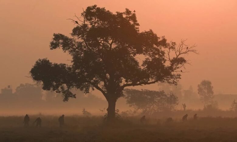 Cold Wave, North India Weather, IMD Alert, Madhya Pradesh, Maharashtra, Telangana, Chhattisgarh, Vidarbha, South India Rain, Tamil Nadu Heavy Rain, Karnataka Rain, Kerala Rain, Andhra Pradesh Rain, Himachal Snowfall, Uttarakhand Temperature Drop,