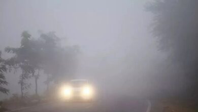 North India cold wave, Delhi weather, Bihar temperature drop, snowfall in hills, IMD alert, South India rainfall, low pressure area, cyclonic circulation, UP dry weather, pollution Delhi,