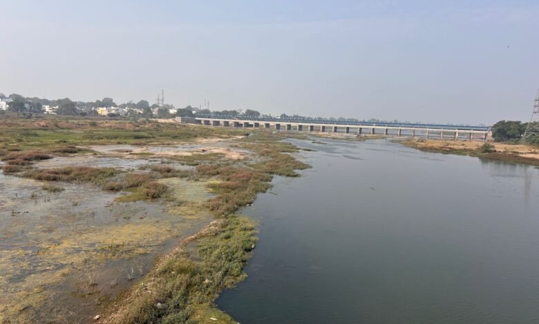 02073d08 55cd 4e0c 9b3f ea59d197414c