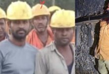 0ec98901 863c 49cd 93d3 49699287b501