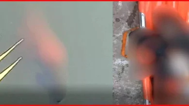 5109140 untitled 12 copy