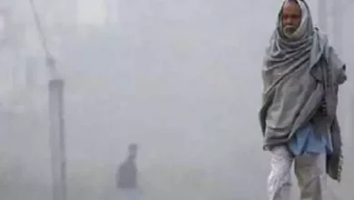 5109173 untitled 12 copy