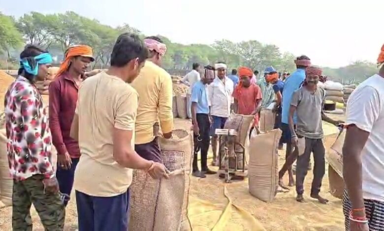Illegal Paddy: बिलासपुर में अवैध धान का खेल जारी, प्रशासन के लिए खुली चुनौती.... 1 Illegal Paddy