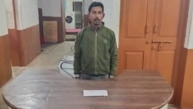 Mobile Fraud Exposed