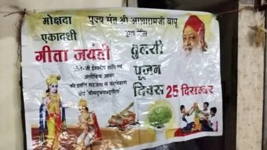 Tulsi Or Christmas Tree