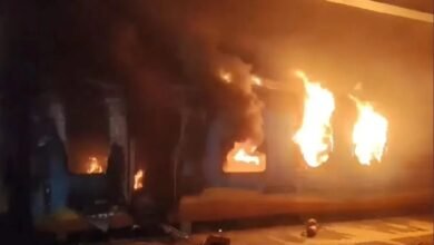 befunky 2025 11 1 10 12 13