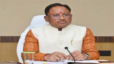 befunky 2025 11 3 10 21 52