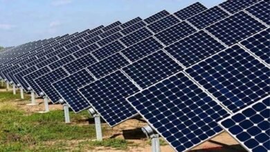 befunky 2025 11 3 11 3 44