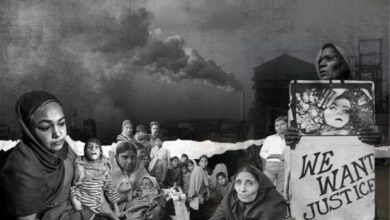 befunky 2025 11 3 12 9 25