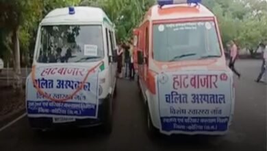 befunky 2025 11 3 16 33 33