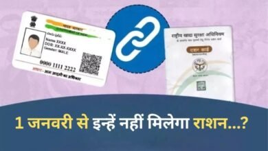 befunky 2025 11 5 10 58 39