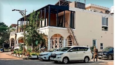 befunky 2025 11 6 10 21 47