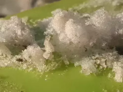 छत्तीसगढ़ में शीतलहर का कहर: मैनपाट में जमी ओस बनी बर्फ, बच्चों की सेहत पर बढ़ा खतरा 1 comp 2 11766820233 1766887822