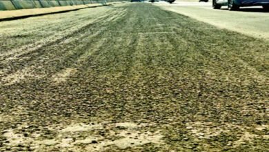 गुणवत्ता