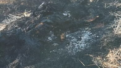 Bhilai murder, Vijay Bandhe, Urmila Nishad, chopper attack, body burnt, girlfriend murder, catering dispute, Supela police station, money fight,