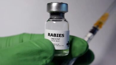 Rabies Fake Vaccine India, Indian Immunologicals Limited, Abhayrab R, ATAGI Warning, Fake Anti-Rabies Vaccine, Vaccine Safety Alert, Rabies Vaccination 2023, India Health News, Vaccine Batch KA 24014, Public Health Advisory, Australia Vaccine Warning, IIL Response, Rabies Immunization Risk,