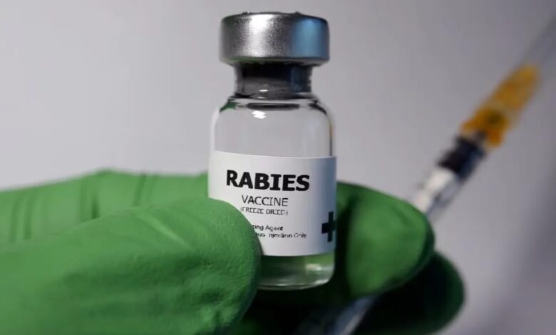 Rabies Fake Vaccine India, Indian Immunologicals Limited, Abhayrab R, ATAGI Warning, Fake Anti-Rabies Vaccine, Vaccine Safety Alert, Rabies Vaccination 2023, India Health News, Vaccine Batch KA 24014, Public Health Advisory, Australia Vaccine Warning, IIL Response, Rabies Immunization Risk,