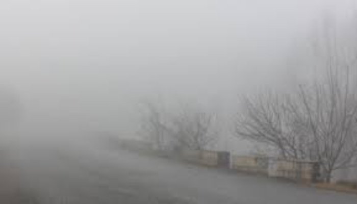 तूफान 'दितवाह' कमजोर, छत्तीसगढ़ में बढ़ेगी ठंड; दक्षिण बस्तर में हल्की बारिश के आसार 1 image 5 1